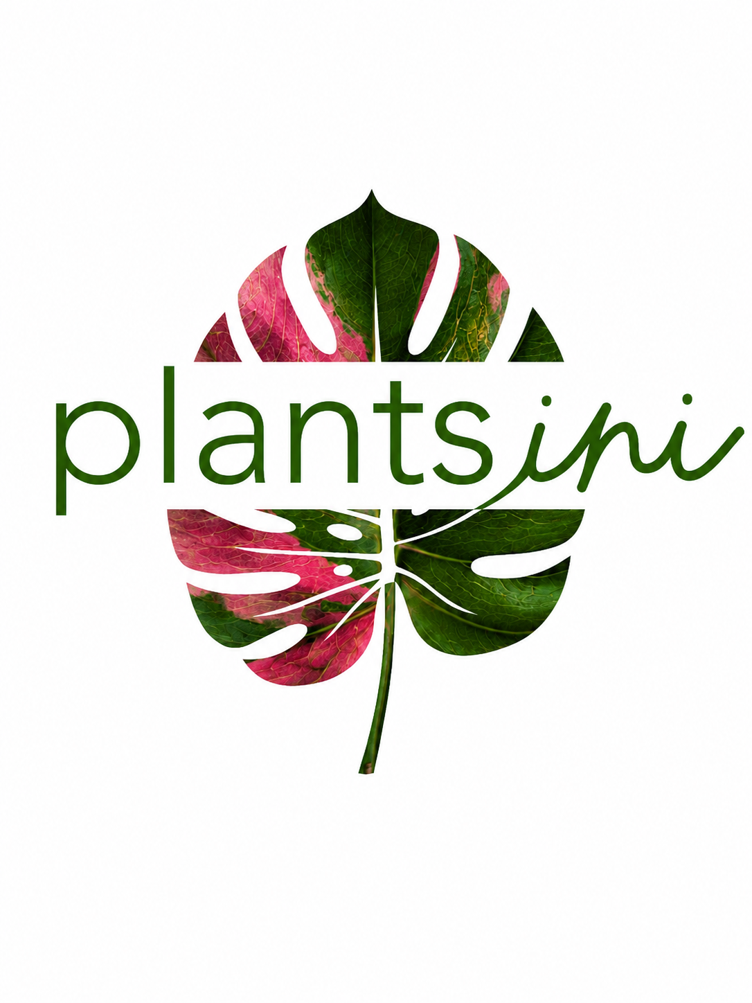 PLANTSini
